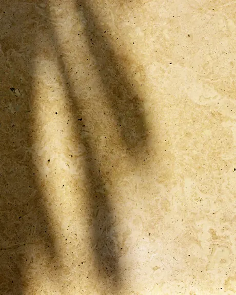 Creamy limestone with palm-leaf shadows across it